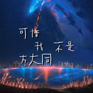 可惜我不是方大同