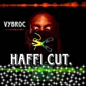 VYBROC-(HAFFI CUT)
