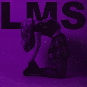 lms (demo)