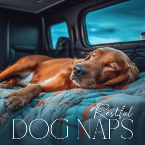 No More Problem with Dog