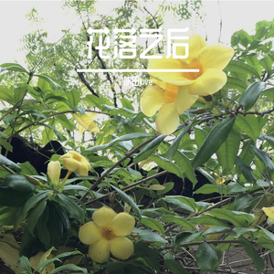 花落曲