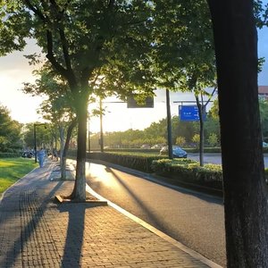 那年夏天