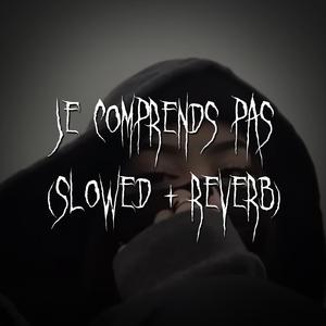 j’comprends pas (slowed + reverb)