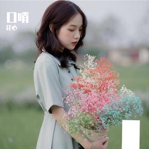 今年我会发大财