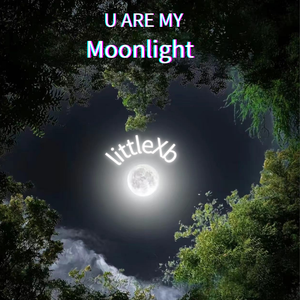 The Pale Moonshine （Prod.Gr33nart Beats）