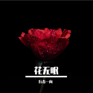 花无眠