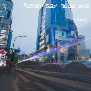 never say good bye（翻自 李准基）