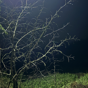 你的眼神-韩淑虹.wav