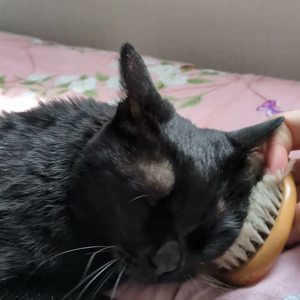 ただ君が好きだから by フェフオウフコポォ