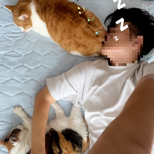 朝から夜までずっとこのまま