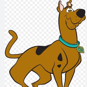 JS WTGBM (Radio Edit)