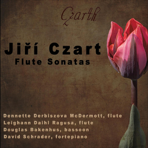 Sonata in E Minor, JCZ. N. 11/D-B: I. Affettuoso