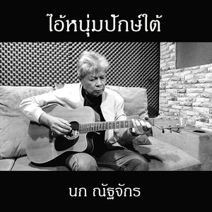 ไอ้หนุ่มปักษ์ใต้