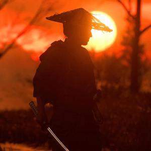 剣豪（通常戦闘用）