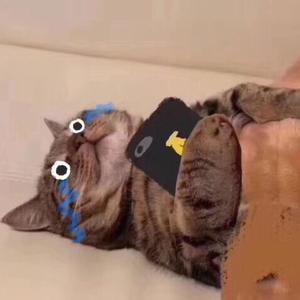 告白（治愈男版）