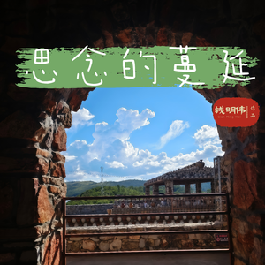 思念的蔓延