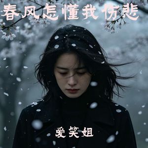 春风怎懂我伤悲