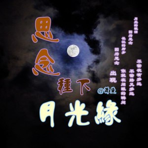 思念种下月光缘