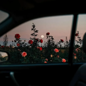 你知道你比晚霞好看吗