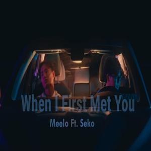 When I First Met You (feat. Seko)