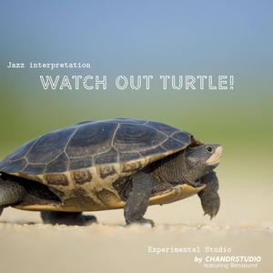 Watch Out Turtle (Instrumental)