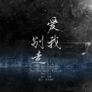 爱我别走