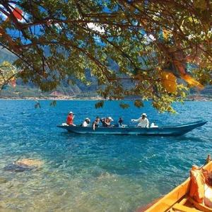 玫瑰窃贼（治愈女声版）