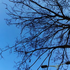 绝对占有 相对自由