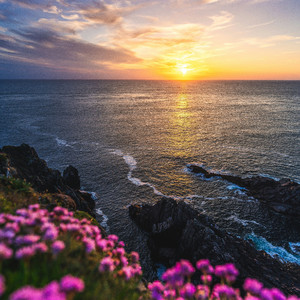 WingsOfCourage勇气之翼展翅