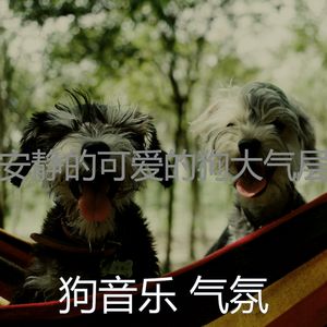 有趣可爱的狗情怀