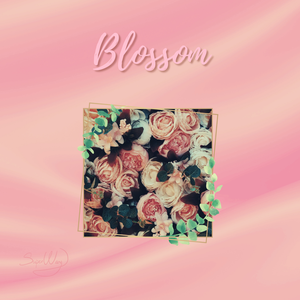 Lofi x Jazz HipHop Type Beat "Blossom"