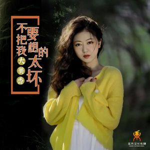 不要把我想得太坏 (DJ版)