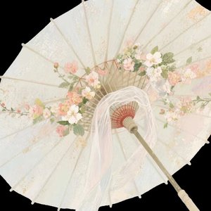 碎帘珠（缩减版）