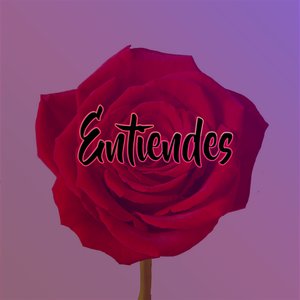 Entiendes
