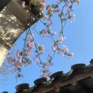 Xin Đừng Nhấc Máy (请不要接电话)