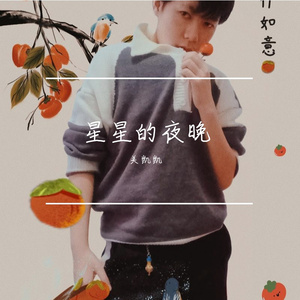 星星的夜晚 伴奏