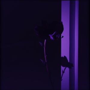 暗綻芳華