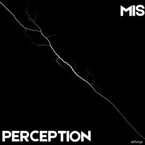 Misperception