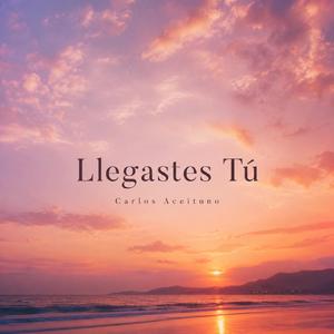 Llegastes Tu