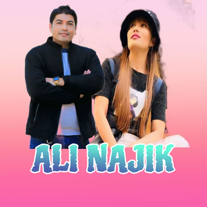 ALI NAJIK