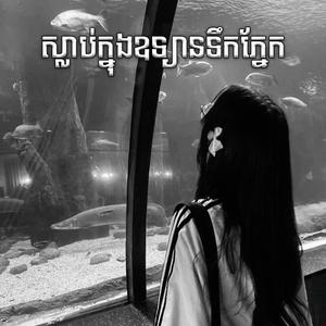 ស្លាប់ក្នុងឧទ្យានទឹកភ្នែក Rmx Sad Song