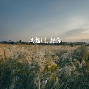 风起时，想你 (Cover 陈楚生)