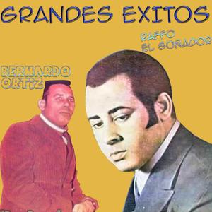 Entre Abismo y Envidia