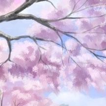 春风轻吹起 伴奏