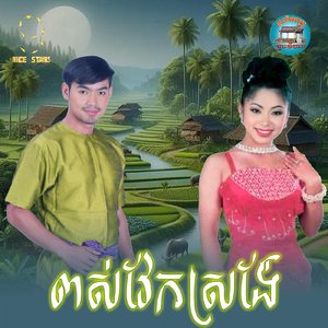 ពស់វែកស្រង៉ែ