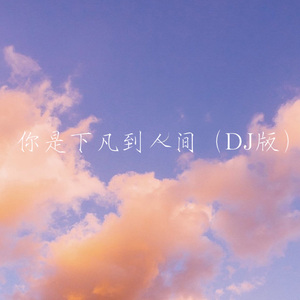 你是下凡到人间 (DJ版)