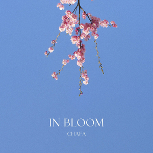 In Bloom