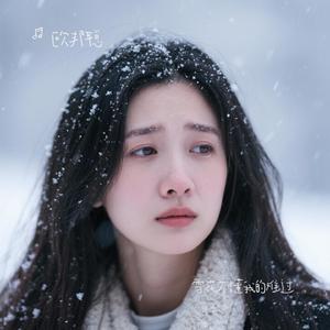 雪花不懂我的难过