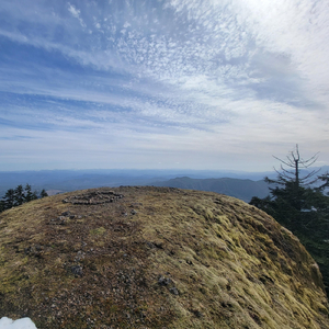 "F" Heart Chakra (Anahata)