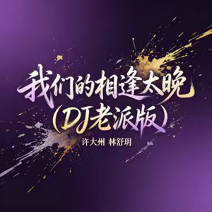 我们的相逢太晚(DJ老派版)